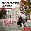 Brown Soft Leather Dog Collar Adjustable Padded for Small Dogs 12-15 inch Neck
